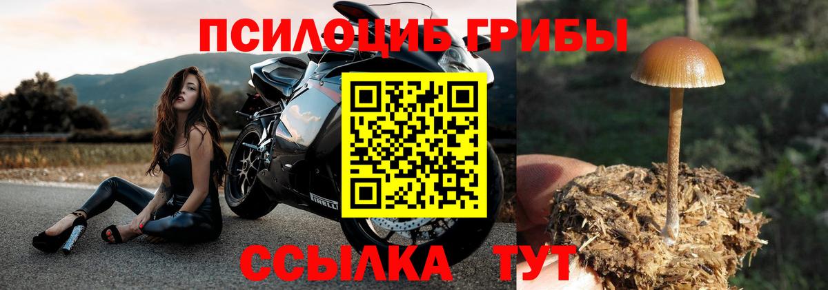 Галлюциногенные грибы MAGIC MUSHROOMS  Вход с VPN  Воткинск 