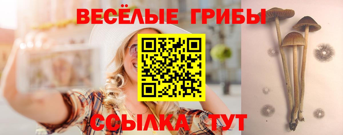 Псилоцибиновые грибы Psilocybe Воткинск